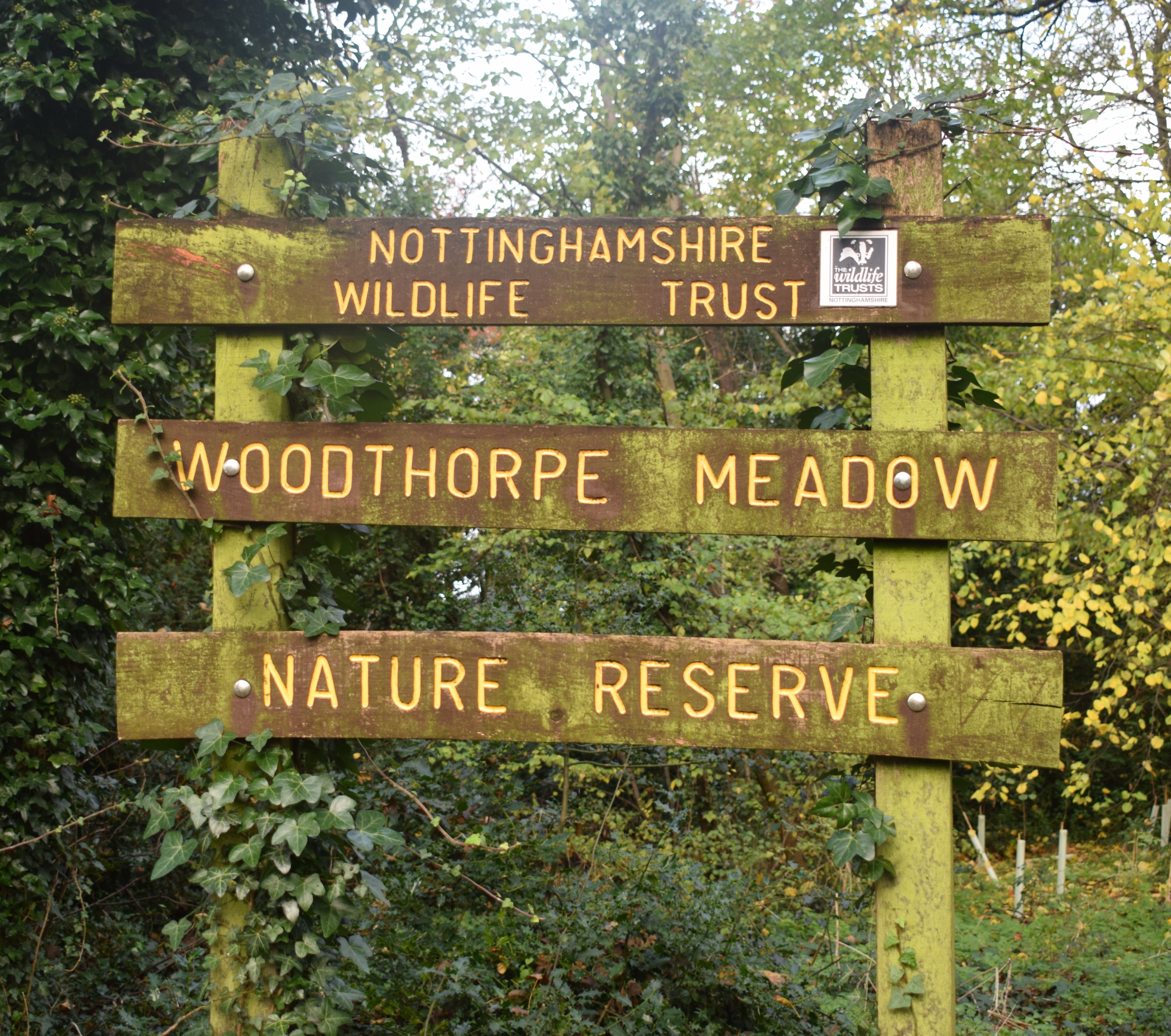 woodthorpemeadows