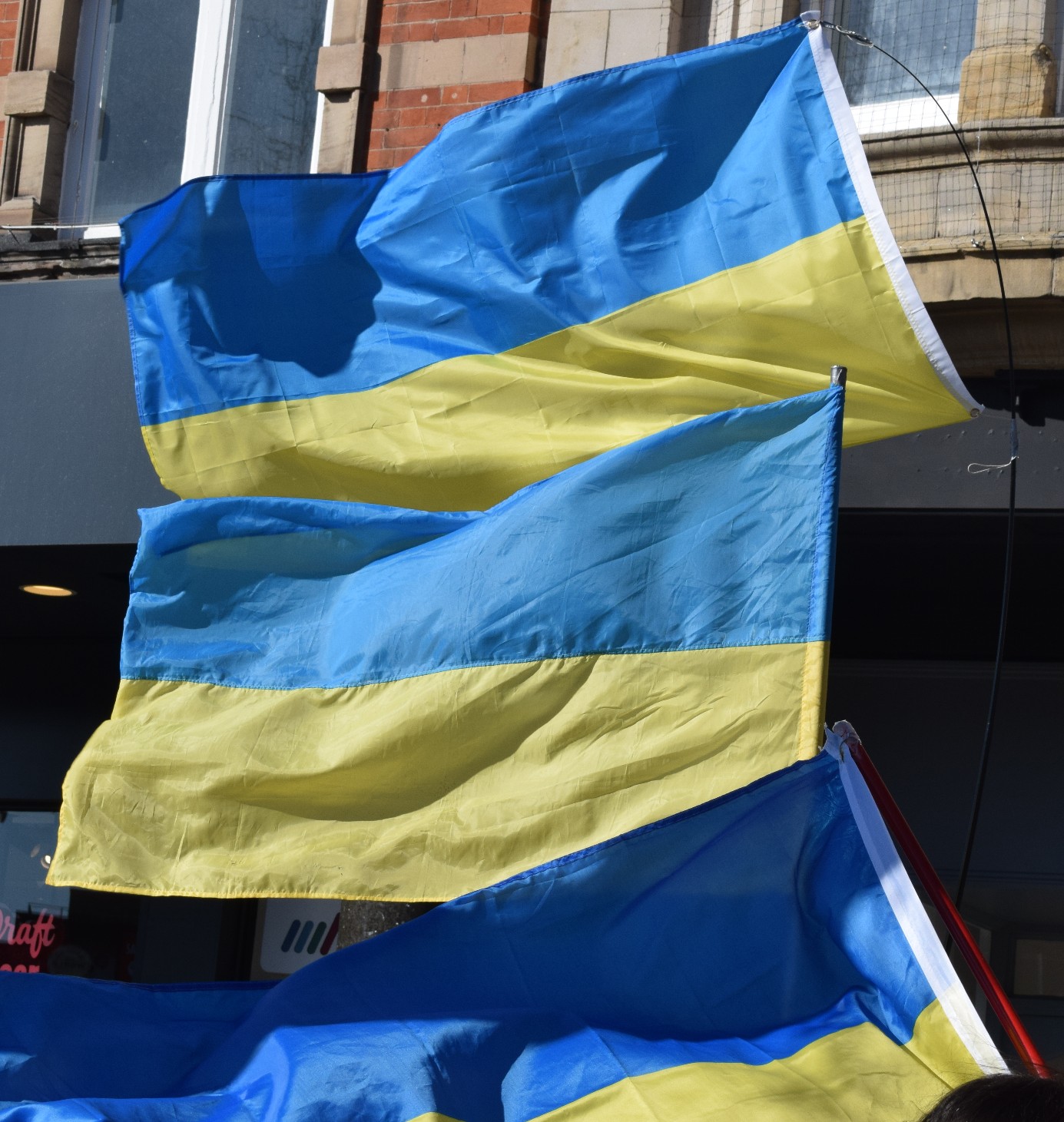ukrainian flags